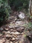 DSCF2706.JPG