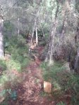 DSCF2707.JPG