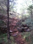 DSCF2710.JPG