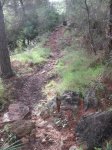 DSCF2711.JPG
