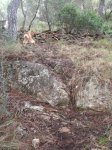 DSCF2681.JPG