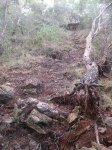 DSCF2684.JPG