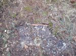 DSCF2687.JPG