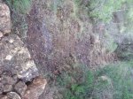 DSCF2689.JPG