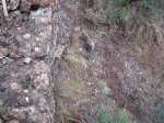 DSCF2677.JPG