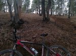 foto bici2.jpg