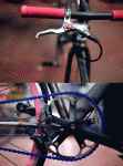 MonkeyLikesShiny (1).gif