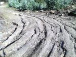 2011-10-28_13-50-10_329.jpg
