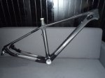 Carbono 29er 2.jpg
