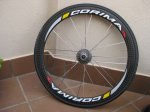 bici 118 (800x600).jpg