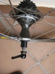 bici 119 (600x800).jpg