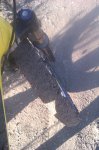 IMAG0206.jpg