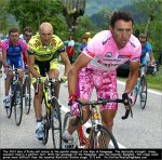 preview-pamp.jpg