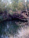 Imagen011.jpg
