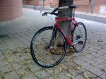 f 28102011_002.jpg