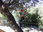 2011_10_29_ALgatocin 024_1.jpg