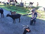 img0866it.jpg