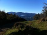img0867p.jpg
