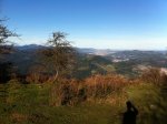 img0868dr.jpg