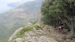 IMG_2236.jpg