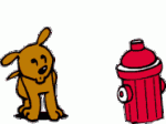 perros-orinando-2.gif