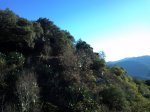 img047j.jpg