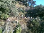 img053lq.jpg