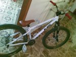 Imagen037 - copia.jpg