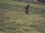 DSC02416.JPG