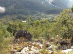 DSC02435.JPG