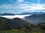 IMAG0517.jpg
