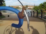 DSC00016.JPG