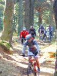 Foto34.JPG