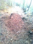 imagen0207a.jpg