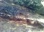 imagen0209h.jpg