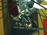 FOTOS DEL IPHONE 229 (Copiar) (Copiar).jpg