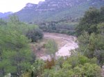 DSC04244.JPG