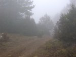 DSC04251.JPG