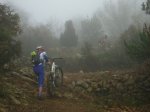 DSC04275.JPG