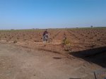 20111030113503.jpg