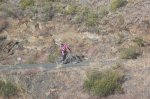 fotos ibex 007 (Large).jpg