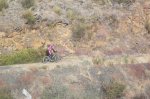 fotos ibex 008 (Large).jpg
