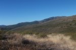 fotos ibex 009 (Large).jpg