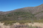 fotos ibex 010 (Large).jpg