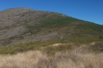 fotos ibex 011 (Large).jpg