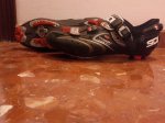 IMG_20111004_233213.jpg
