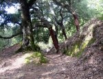 IMG_0128.JPG