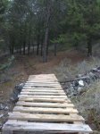 pasarela1.JPG