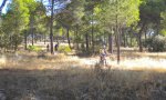 DSCN3461.JPG
