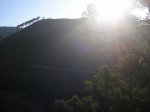 P1015626.JPG